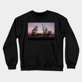 Dusk Crewneck Sweatshirt